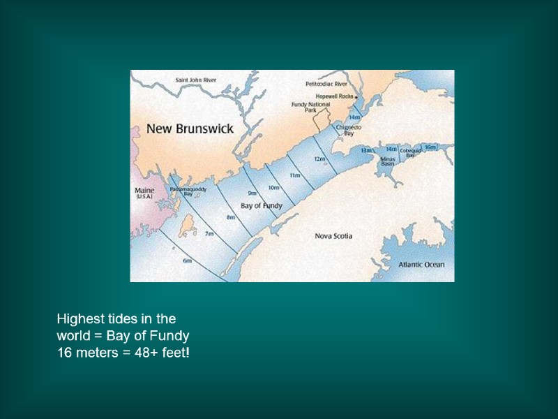 Highest tides in the world = Bay of Fundy  16 meters = 48+